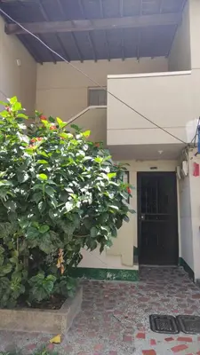 a large bush in front of a building with a door at Habitación central con cama doble #2 in Medellín