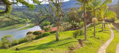 a view of a river from a hill with palm trees at Finca Buena Vista in Guatapé