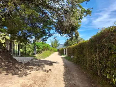 a dirt road with a fence and a tree overhead at Finca Buena Vista in Guatapé