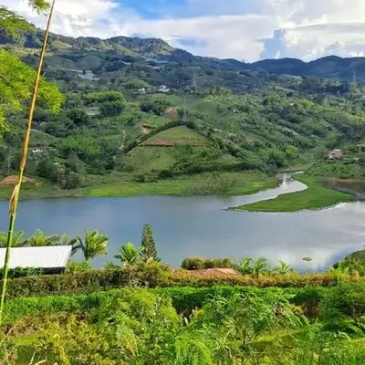Finca Buena Vista