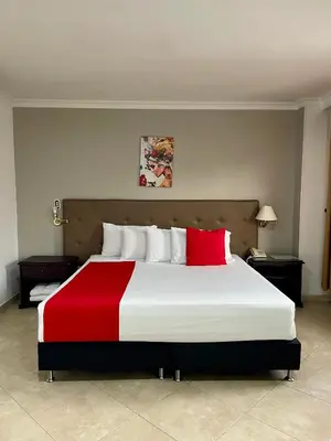a bedroom with a large bed with red and white pillows at Hotel Prince Plaza - Laureles Estadio in Medellín