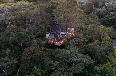 an aerial view of a house in the middle of a forest at Ecoluxury Glamping in San Antonio de Pereira