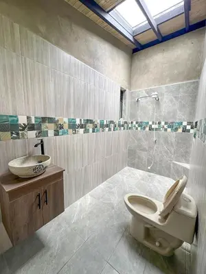 a bathroom with a toilet and a sink and a shower at Casa de Campo en San Pedro in San Pedro