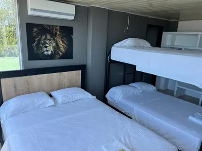 a room with two bunk beds and a picture of a lion at Hotel Entre Parques in La Dorada