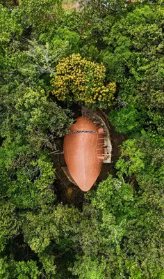 an overhead view of a brown object in the middle of trees at Taibará Refugio Natural in San Carlos