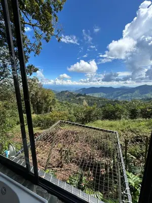 a window view of a garden with a view at GLAMPING ENTRE MONTES Y CAFETALES in Santuario