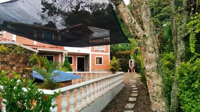 a house with a white fence and a tree at Casa Alejandria in Alejandría