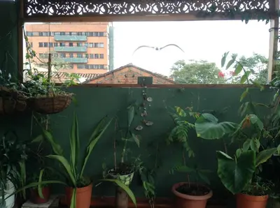 a group of plants in pots on a wall at Apartamento-Galería de arte Cielo y Tierra in Medellín
