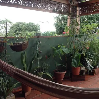 a hammock in a garden with potted plants at Apartamento-Galería de arte Cielo y Tierra in Medellín