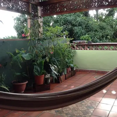 a hammock in a room with potted plants at Apartamento-Galería de arte Cielo y Tierra in Medellín