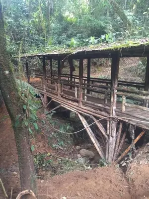 a wooden bridge in the middle of a forest at LA MARQUESA PACORA in Pácora