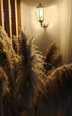a room with a lamp and a couch with feathers at Semi-loft Manizales Colombia in Manizales