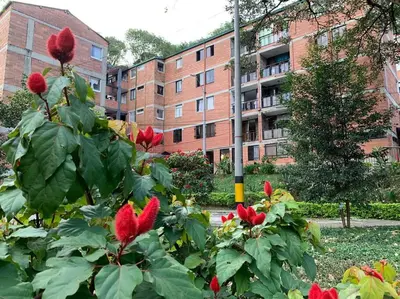 a bush with red flowers in front of a building at Acogedor Apartamento Urbanización Tricentenario in Medellín