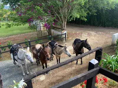 Gallery image of Sweet Helen Llanogarden in Rionegro