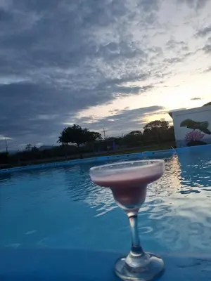a martini glass sitting on the edge of a swimming pool at Hotel nelumbo in Mariquita