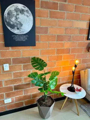 a plant sitting on a table next to a brick wall at Increíble Apartaestudio Cerca al Centro Comercial Los Molinos in Medellín
