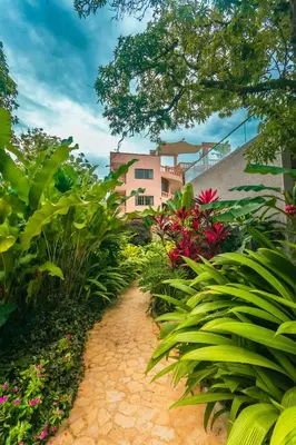 a garden with pink flowers and green plants at Del Trópico Hotel By GyC Hotels in Sopetran