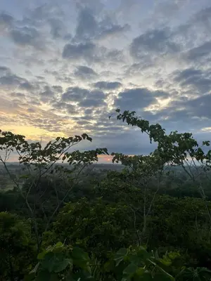 a view of the sunset from a forest with a tree at Cabaña Campestre con Piscina en la Hacienda Nápoles in Doradal