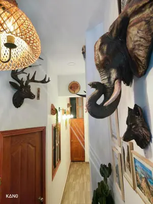 a hallway with an elephant head on the wall at Hospedaje Oasis Blue Laureles Medellín in Medellín