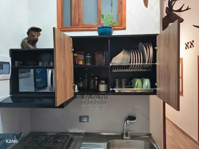a dog sitting on top of a kitchen counter at Hospedaje Oasis Blue Laureles Medellín in Medellín