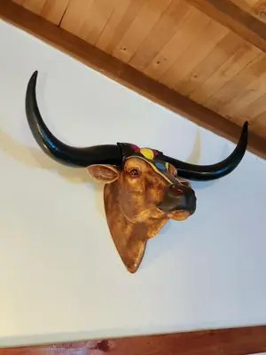 a cow head with horns hanging on a wall at Hospedaje Oasis Blue Laureles Medellín in Medellín
