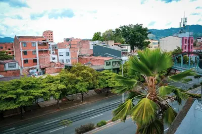 a city with a street and a palm tree at Amplio duplex con terraza privada. in Medellín