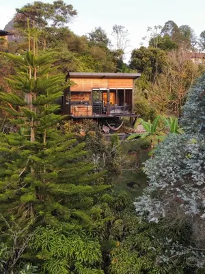 a house on the side of a hill with a tree at Refugio del Lago in Guatapé