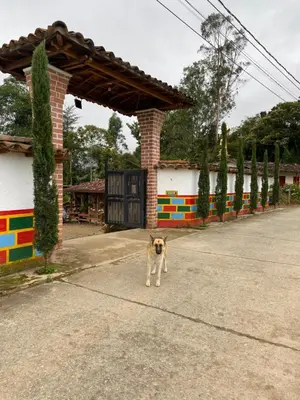 Gallery image of Ciudadela El Artesano in Carolina del Principe