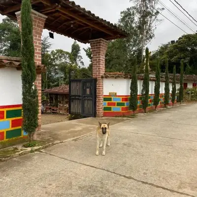 Ciudadela El Artesano