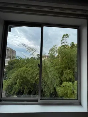a window with a view of a forest of trees at Ideal para grupos y nómadas Apto 2 hab amplio in Sabaneta