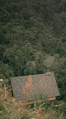 a roof of a house in the middle of a forest at Ecolodge Cuentos de Agua in Villamaría