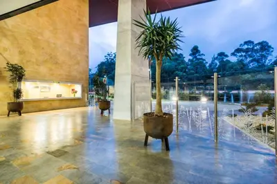 a palm tree in a pot in a lobby at Hotel en Rionegro-Rioverde- Apartamento in Rionegro