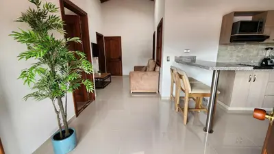 a living room with a kitchen and a table with a plant at OCASSO JARDIN APARTAMENTO COLIBRÍ in Jardin