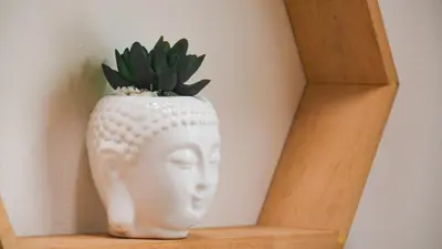 a white vase with a plant in it on a shelf at OCASSO JARDIN APARTAMENTO GALLITO DE ROCA in Jardin