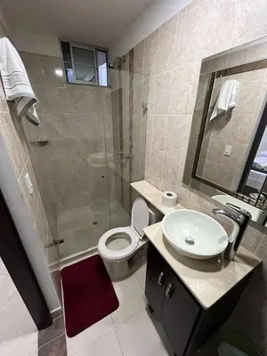 a bathroom with a sink and a toilet and a shower at Penthouse San Rafael in San Rafael