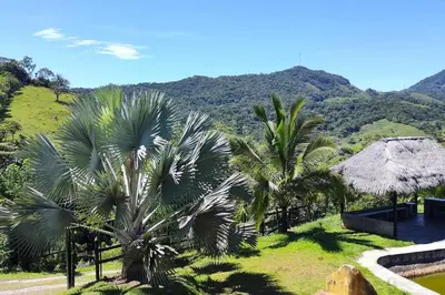 a view of a resort with palm trees and a mountain at Eco Cabaña San Carlos Ant in San Carlos