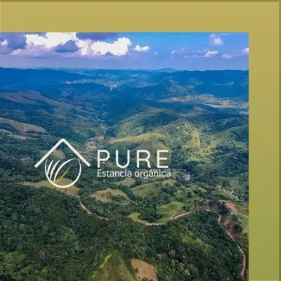 a logo for a company in the middle of a forest at Eco Cabaña San Carlos Ant in San Carlos