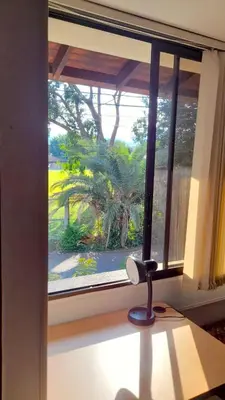 a window with a view of a palm tree at Hostal Saveva Para Grupos Familias Estudiantes y Deportistas in Medellín