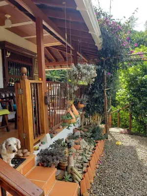 a patio with potted plants and a dog sitting under a porch at PaloSanto, Casa Rural in Jardin