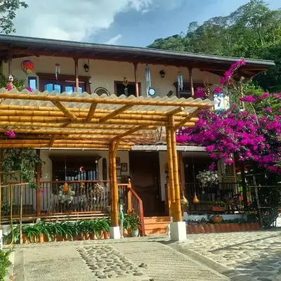 PaloSanto