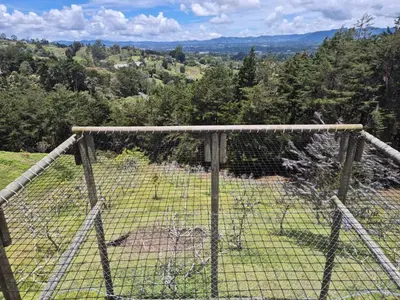 a cage with a view of a field at AEROPUERTO-Rionegro- MONTEOLIVO COLONIAL in Rionegro