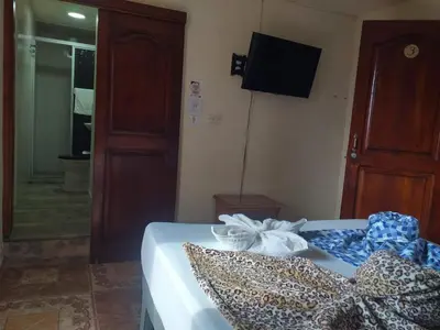 a bedroom with a bed with a leopard blanket and a television at HOSTAL LA CASA DE LOS SUEÑOS in Jardin