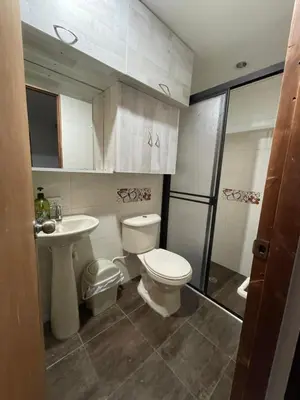 a bathroom with a toilet and a sink and a shower at Amplio apartamento en Niquia in Bello