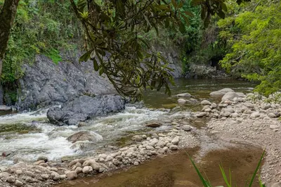a stream of water with rocks in a river at Hotel Campestre La Francesina in Betania