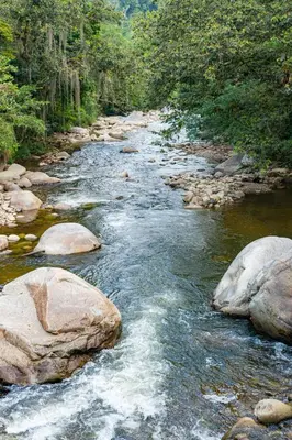 a river with rocks and trees in a forest at Hotel Campestre La Francesina in Betania