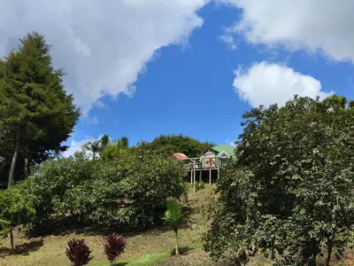 a house on top of a hill with trees at Vitta Glamping in Rionegro