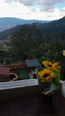a vase with yellow flowers sitting on a ledge at Casita el mirador solo naturaleza in Medellín