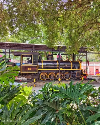 a small train on the tracks in a park at Apartamentos amueblados, zona céntrica-Cisneros- antioquia in Cisneros