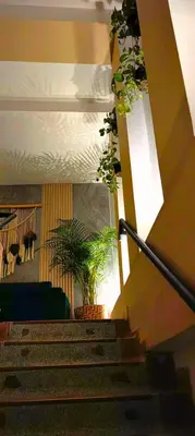 a set of stairs with potted plants in a building at HOTEL BOHO BOUTIQUE in Quibdó