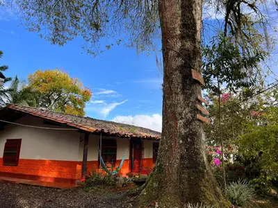 a house with a tree in front of it at Casa & cabaña campestre equipadas, 13 personas, familias in Jardin